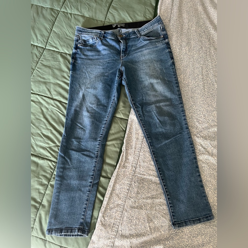 Wit & Wisdom Ab Solution Skinny Jeans